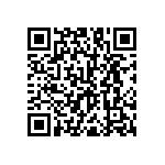 RNC55H3093BSRE6 QRCode