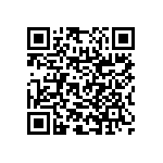 RNC55H3093BSRSL QRCode