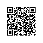 RNC55H3200DSBSL QRCode