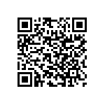 RNC55H3202BSBSL QRCode