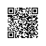 RNC55H3741DSBSL QRCode