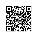 RNC55H3793BSBSL QRCode