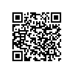 RNC55H4222BSBSL QRCode