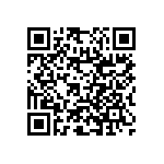 RNC55H5102BSRE6 QRCode