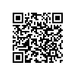 RNC55J1002DSBSL QRCode