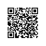 RNC55J1102BSRE6 QRCode