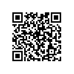 RNC55J1602BSRE6 QRCode