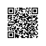 RNC55J2004BSRE6 QRCode