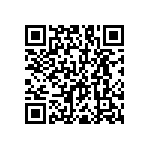 RNC55J2491BSR36 QRCode