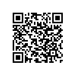 RNC55J2613FSRSL QRCode