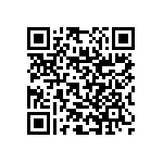 RNC55J2803BSRSL QRCode