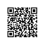 RNC55J2803FSBSL QRCode