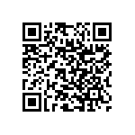 RNC55J2803FSRSL QRCode