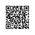 RNC55J2941BSRSL QRCode