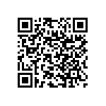 RNC55J3011FSBSL QRCode