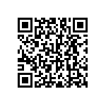 RNC55J3013DSB14 QRCode