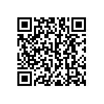 RNC55J3163BSRSL QRCode