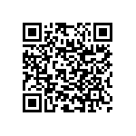 RNC55J3833BSRSL QRCode