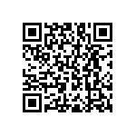 RNC55J4022BSB14 QRCode