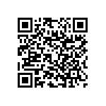 RNC55J61R2BSBSL QRCode