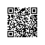 RNC55J8062FSBSL QRCode