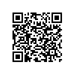 RNC55K3013FSR36 QRCode