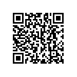 RNC60H3163FSB14 QRCode