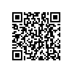 RNC60J3011FSRE6 QRCode