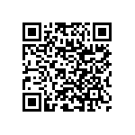 RNC60J3162BSRE6 QRCode