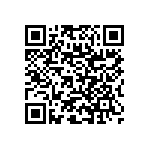 RNC60J3203BSRE6 QRCode