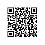 RNCF0402BKE300R QRCode