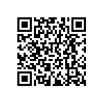 RNCF0402CTE13K0 QRCode