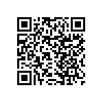 RNCF0402DTE13K3 QRCode