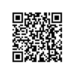 RNCF0603DTC13K0 QRCode