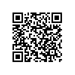 RNCF1206BKE17R4 QRCode