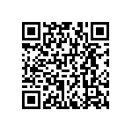 RNCF1206BKE4K30 QRCode