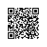 RNCF1206BKT4K99 QRCode