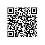 RNCF1206BTE6K04 QRCode