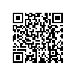 RNCF1206DTE133R QRCode