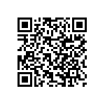 RNCF2512BKE17R4 QRCode