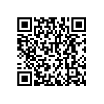 RNCF2512BKE4R99 QRCode