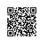 RNCF2512BKE95R3 QRCode