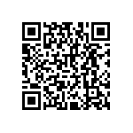 RNCF2512BKT2K00 QRCode