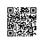 RNCF2512BTC301R QRCode