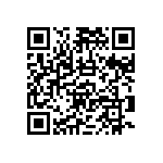 RNCF2512BTC33K0 QRCode