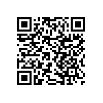 RNCF2512BTE300R QRCode