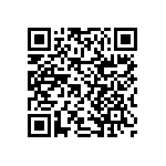 RNCF2512BTE31K6 QRCode