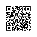 RNCF2512BTE6R04 QRCode