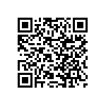 RNCF2512DKE13R3 QRCode