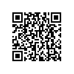 RNCF2512DKE3R32 QRCode